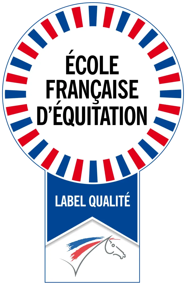 Logo-EFE