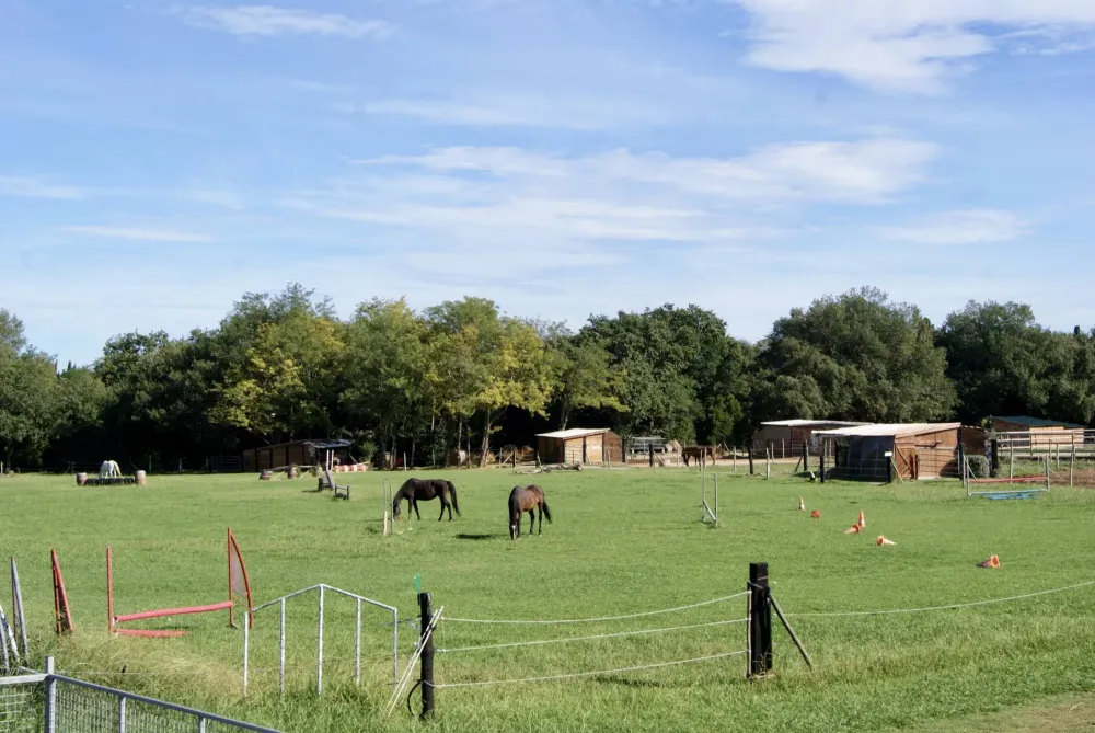parc-chevaux