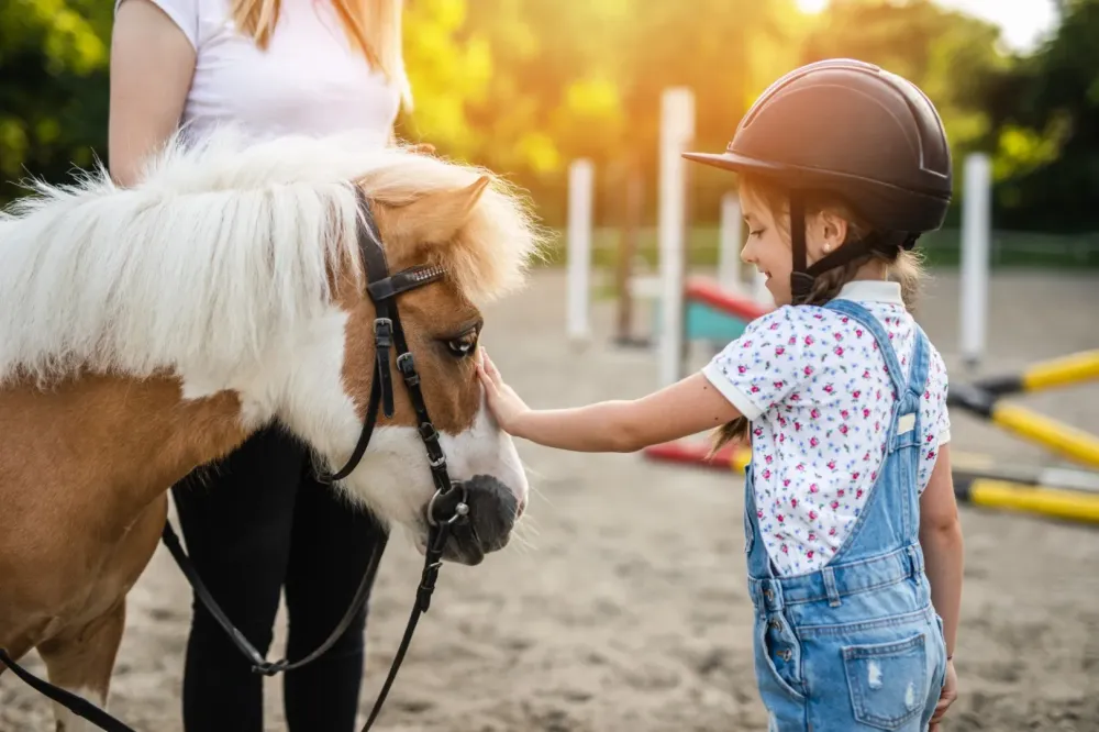 Ecole d'équitation près de Millas