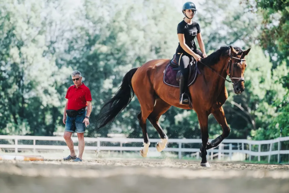 Cours d'équitation près de Millas