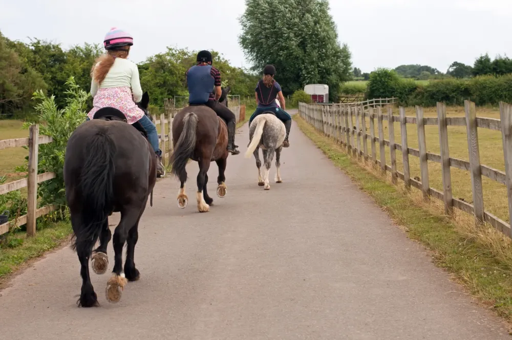 Initiation au cheval près de Millas