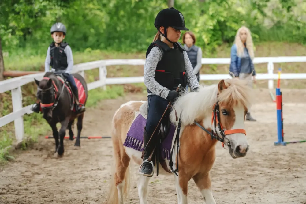 Poney club près de Millas